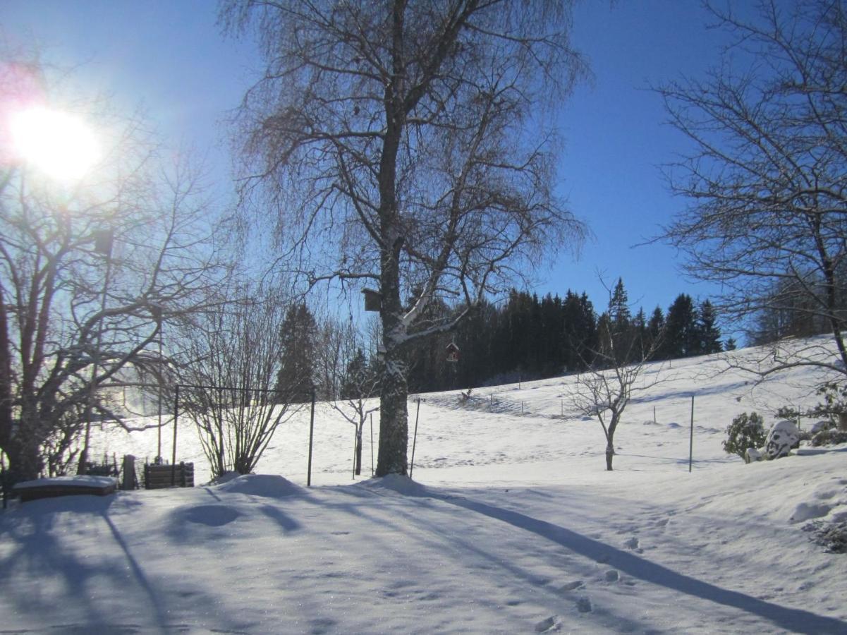 Haus Jurisch Lägenhet Urberg Exteriör bild